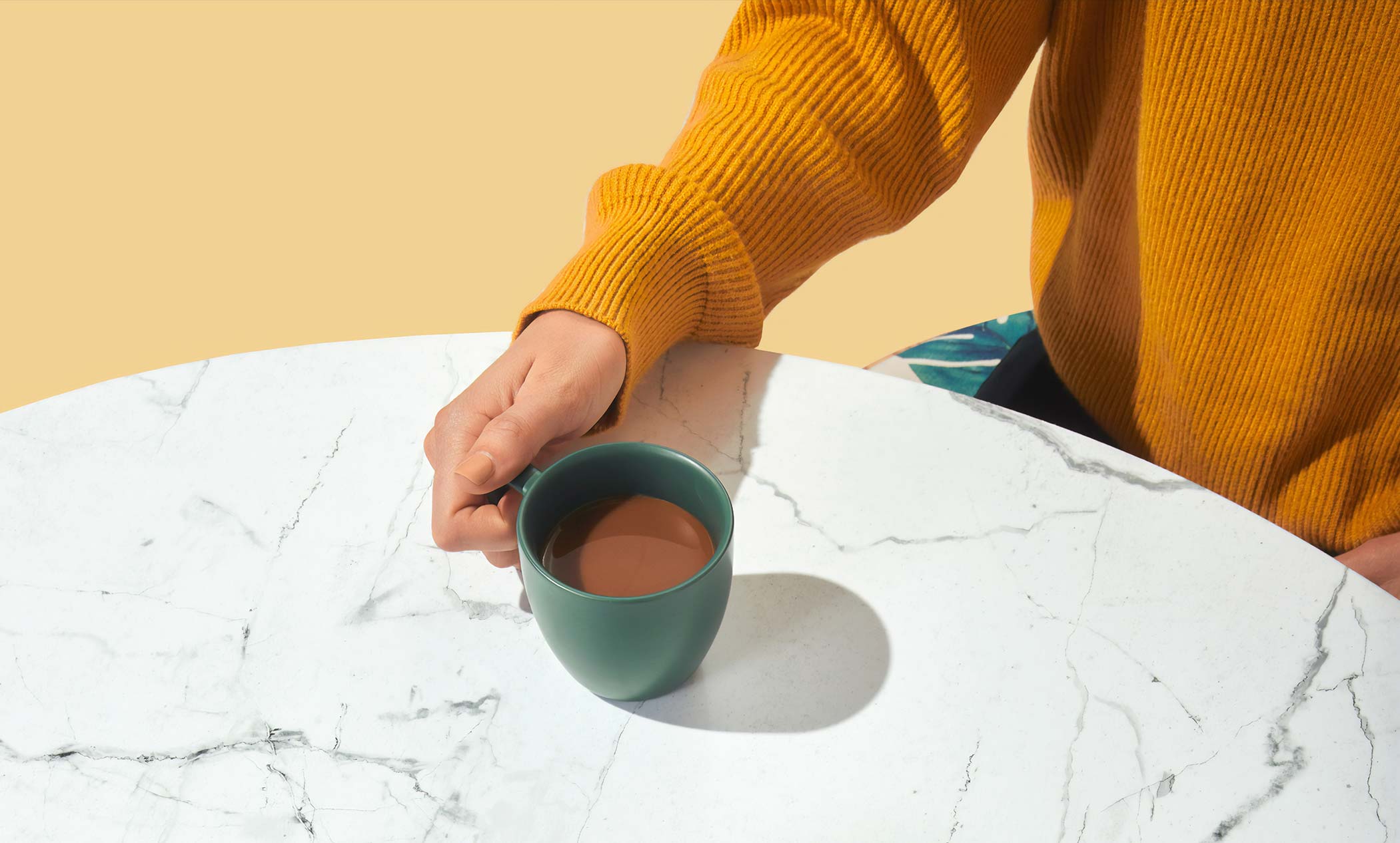 Artistic Plant Arrangement Artistic Plant Arrangement